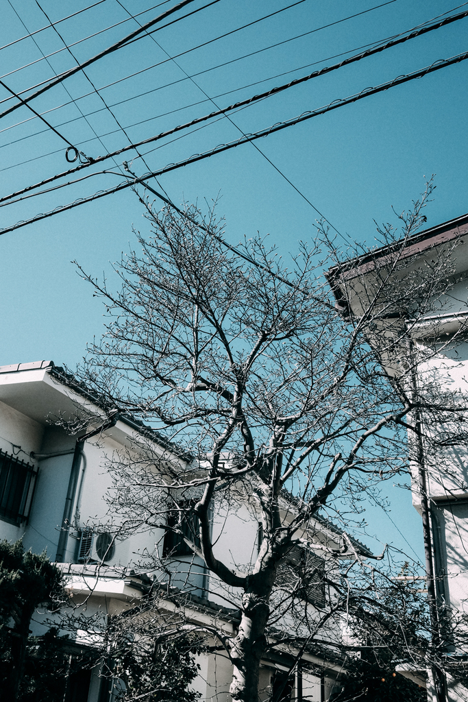 f:id:naitwo2:20190202125310j:plain