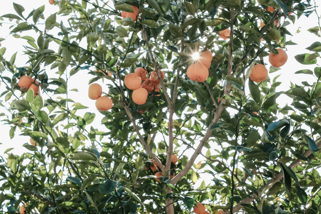 f:id:naitwo2:20190202125434j:plain