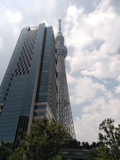 f:id:najan2844:20241031141856j:image f:id:najan2844:20241031141856j:image