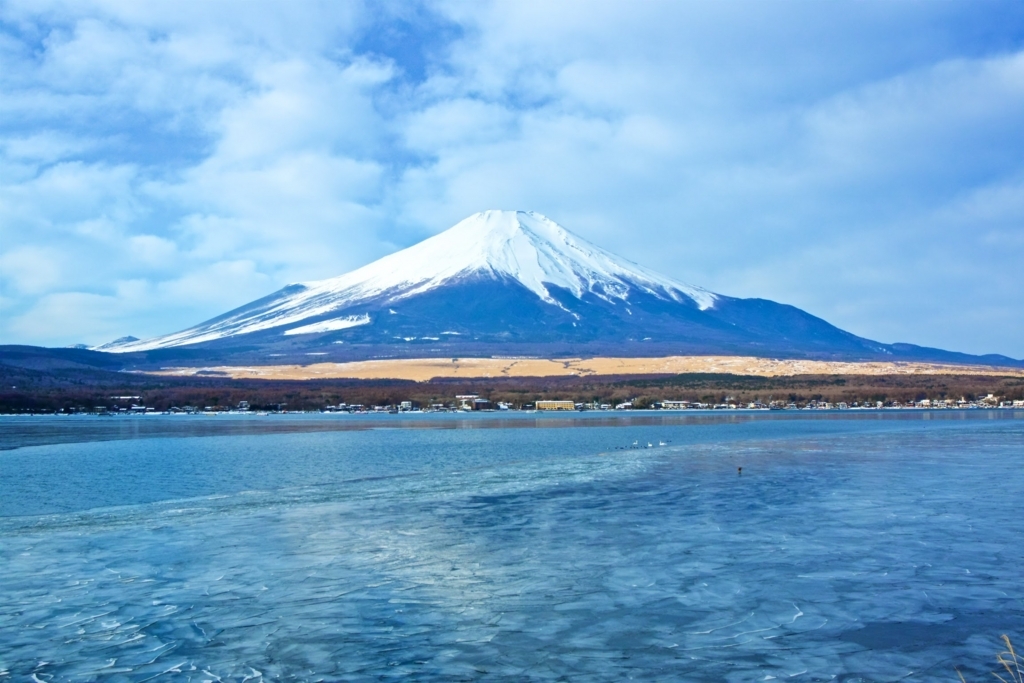 f:id:naka-labo:20180512090500j:plain f:id:naka-labo:20180512090500j:plain