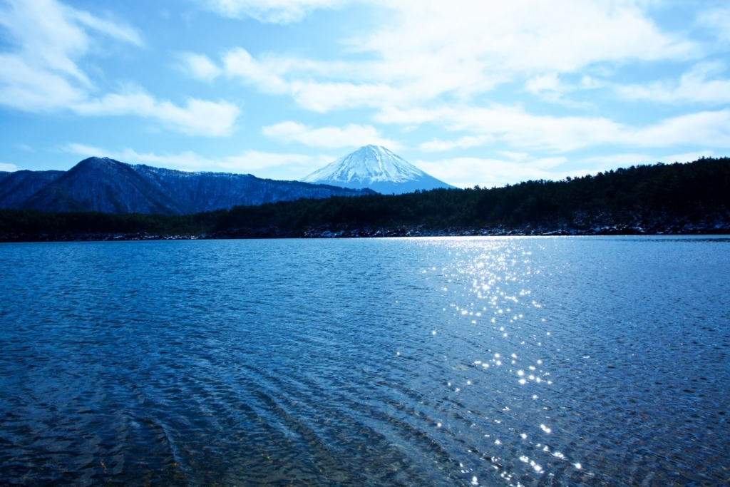 f:id:naka-labo:20180512090641j:plain f:id:naka-labo:20180512090641j:plain