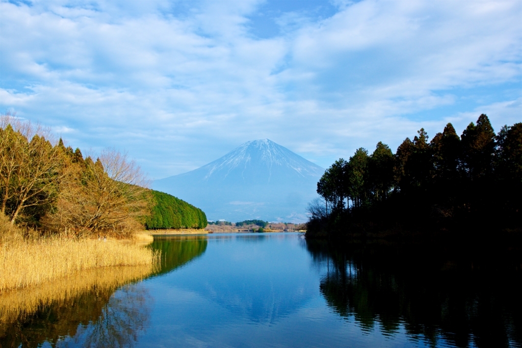 f:id:naka-labo:20180512091039j:plain f:id:naka-labo:20180512091039j:plain