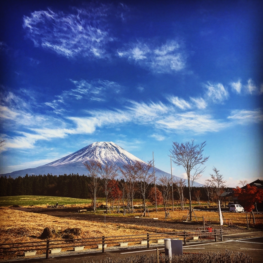 f:id:naka-labo:20180512092524j:plain f:id:naka-labo:20180512092524j:plain