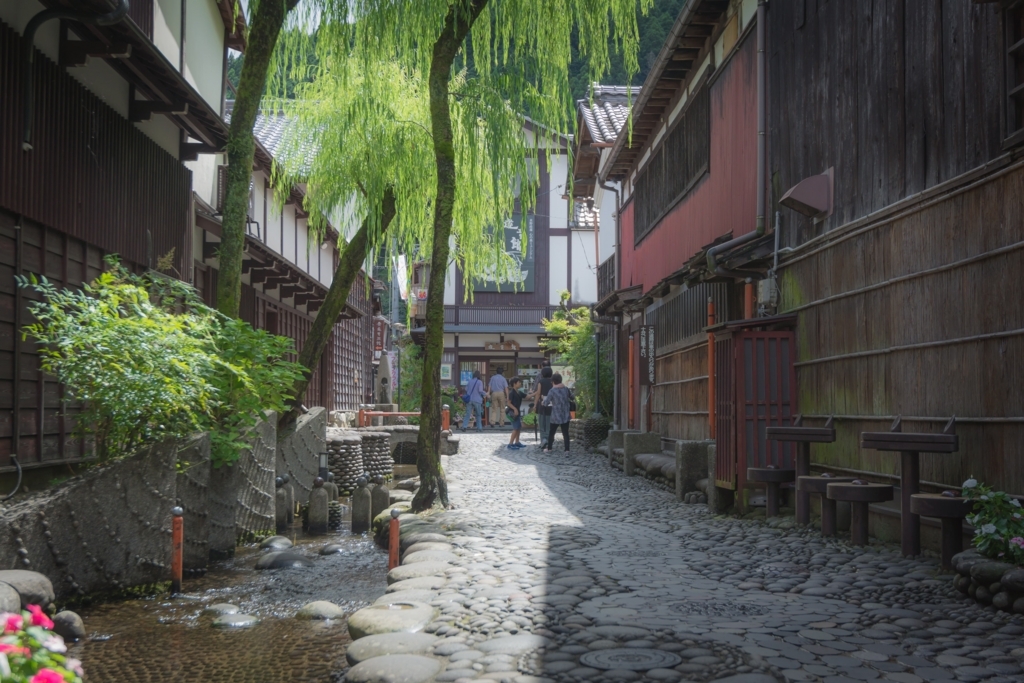 f:id:naka-labo:20180601085438j:plain f:id:naka-labo:20180601085438j:plain