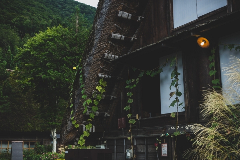 f:id:naka-labo:20180601092432j:plain f:id:naka-labo:20180601092432j:plain