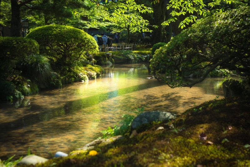 f:id:naka-labo:20180607112735j:plain f:id:naka-labo:20180607112735j:plain