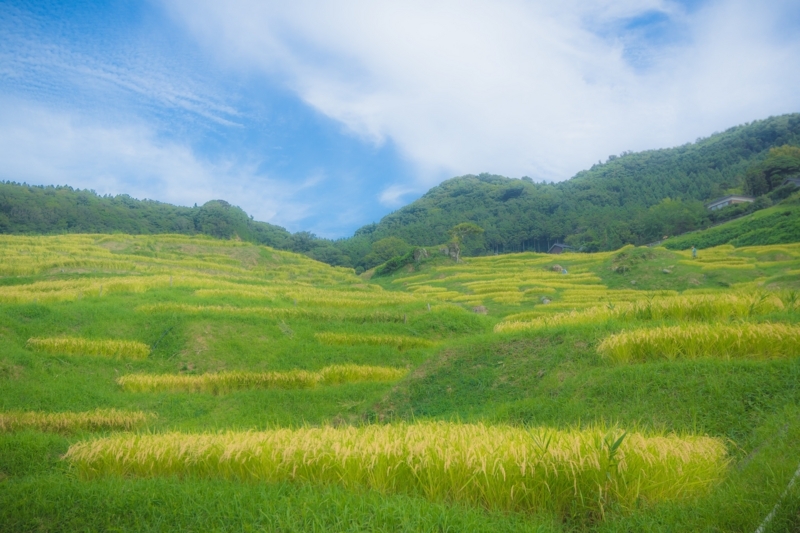 f:id:naka-labo:20180609190506j:plain f:id:naka-labo:20180609190506j:plain
