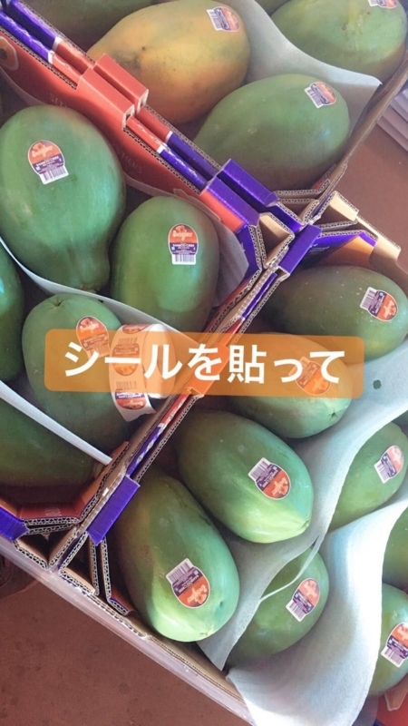 f:id:naka-labo:20180613125942j:plain f:id:naka-labo:20180613125942j:plain