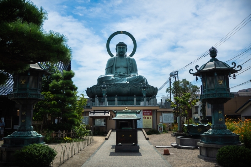 f:id:naka-labo:20180614173937j:plain f:id:naka-labo:20180614173937j:plain