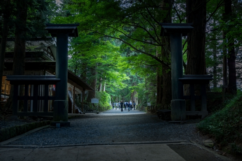 f:id:naka-labo:20180617110328j:plain f:id:naka-labo:20180617110328j:plain