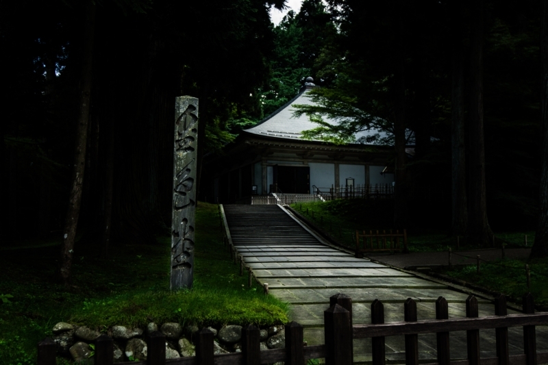 f:id:naka-labo:20180617110345j:plain f:id:naka-labo:20180617110345j:plain