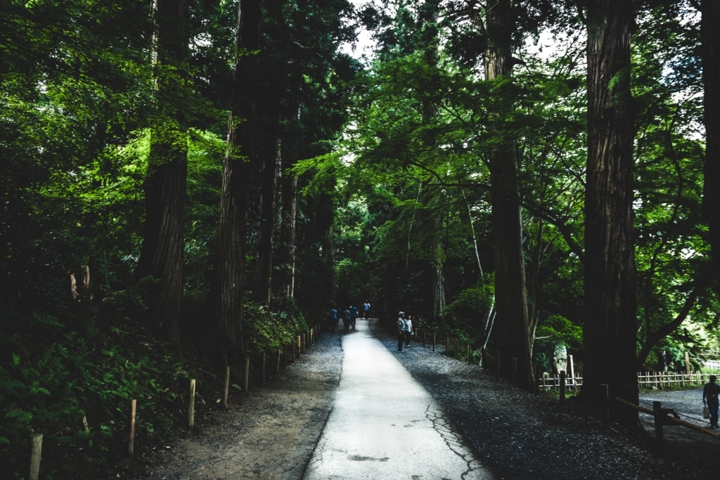 f:id:naka-labo:20180617142940j:plain f:id:naka-labo:20180617142940j:plain