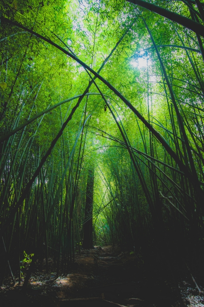 f:id:naka-labo:20180626194306j:plain f:id:naka-labo:20180626194306j:plain