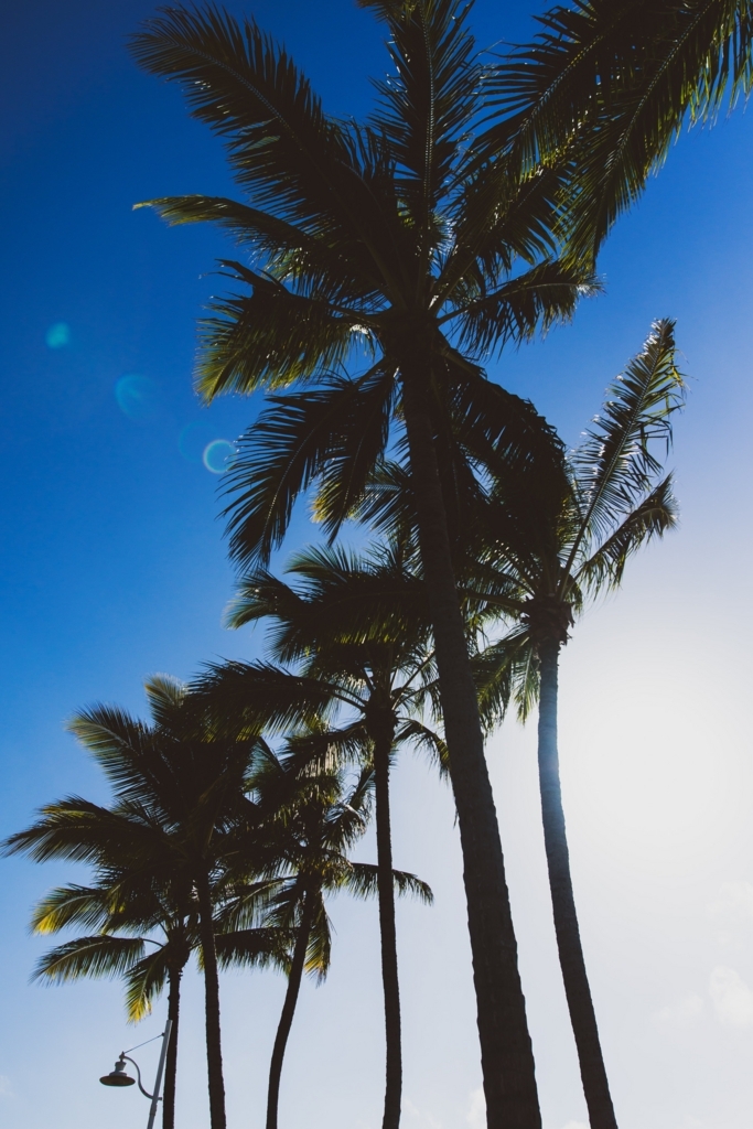f:id:naka-labo:20180801193434j:plain f:id:naka-labo:20180801193434j:plain