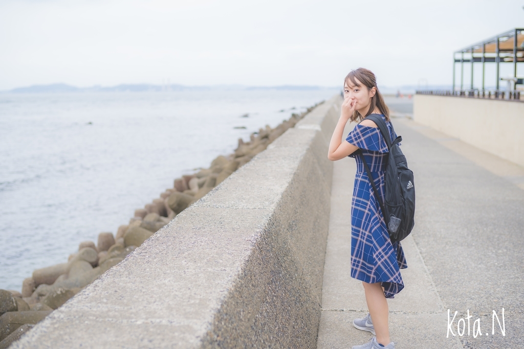 f:id:naka-labo:20180917172423j:plain f:id:naka-labo:20180917172423j:plain