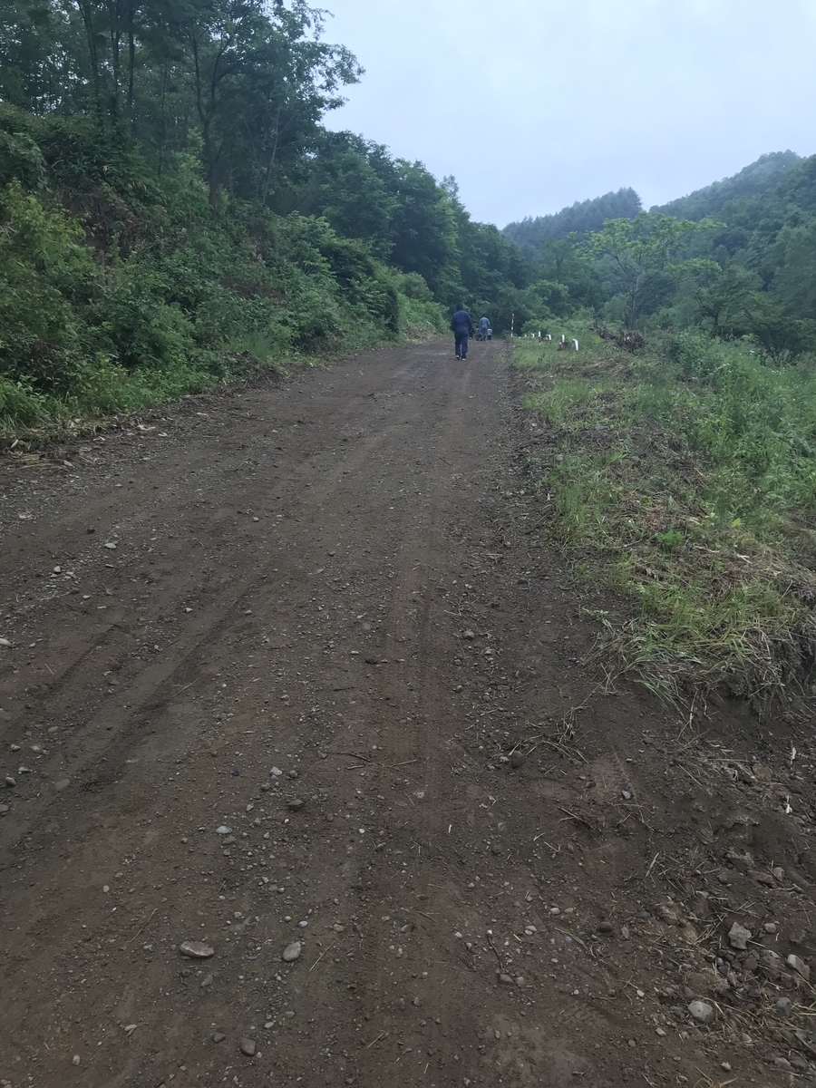 f:id:naka244822:20190701145842j:plain f:id:naka244822:20190701145842j:plain