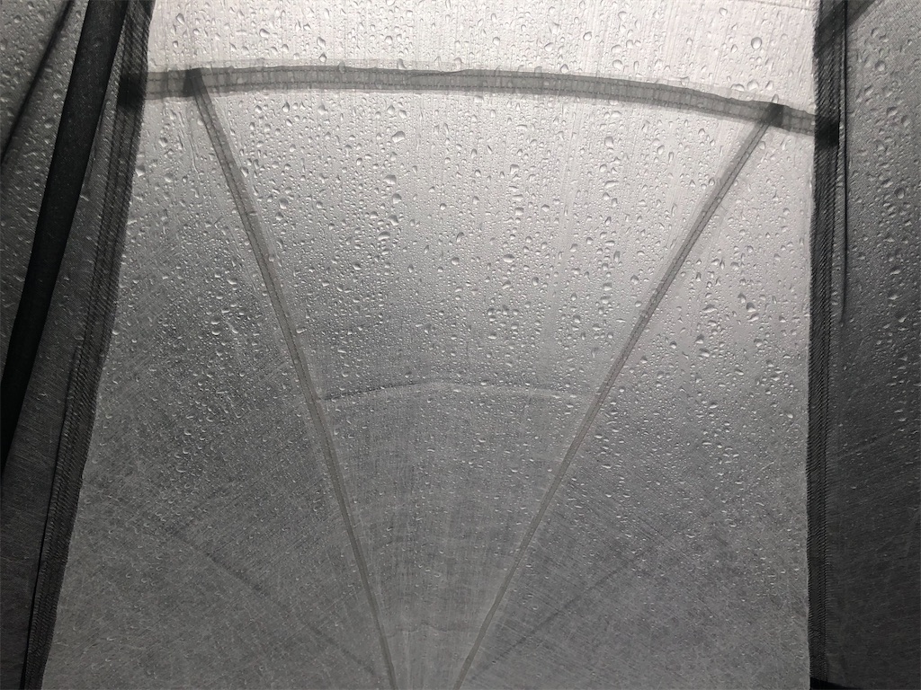 f:id:naka350z:20200615013025j:image