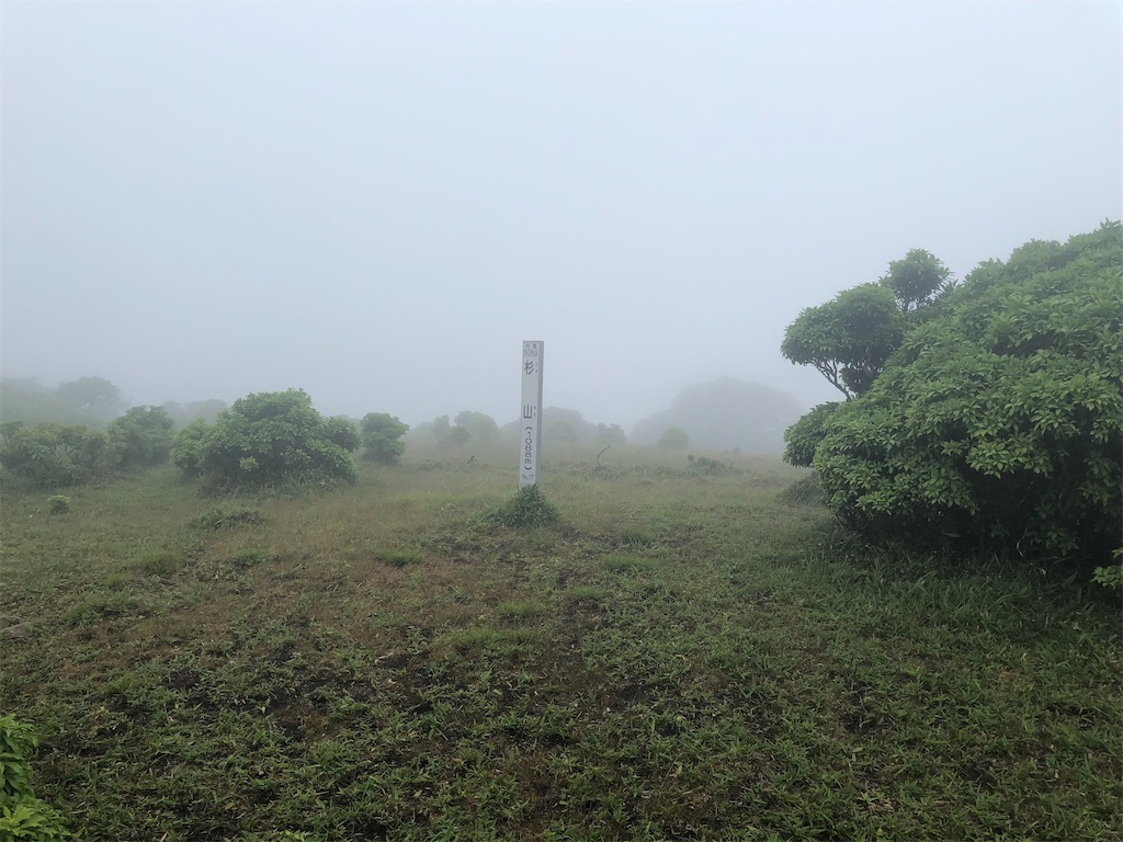 f:id:naka350z:20200629020838j:image