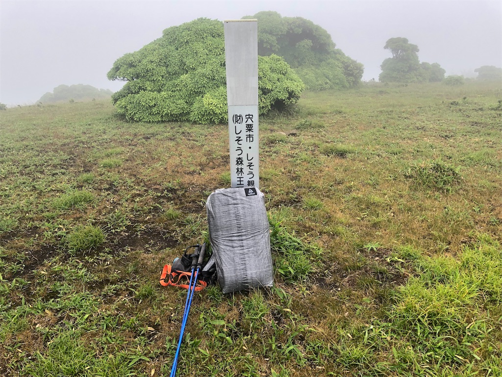 f:id:naka350z:20200629020852j:image