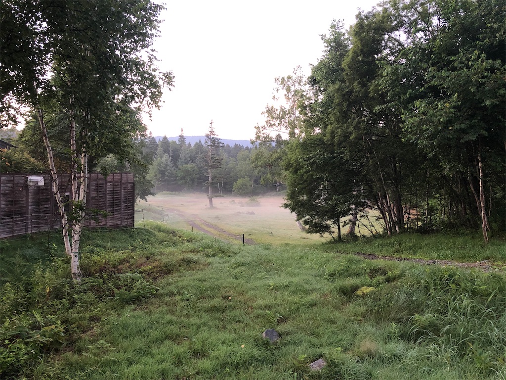 f:id:naka350z:20200831214932j:image