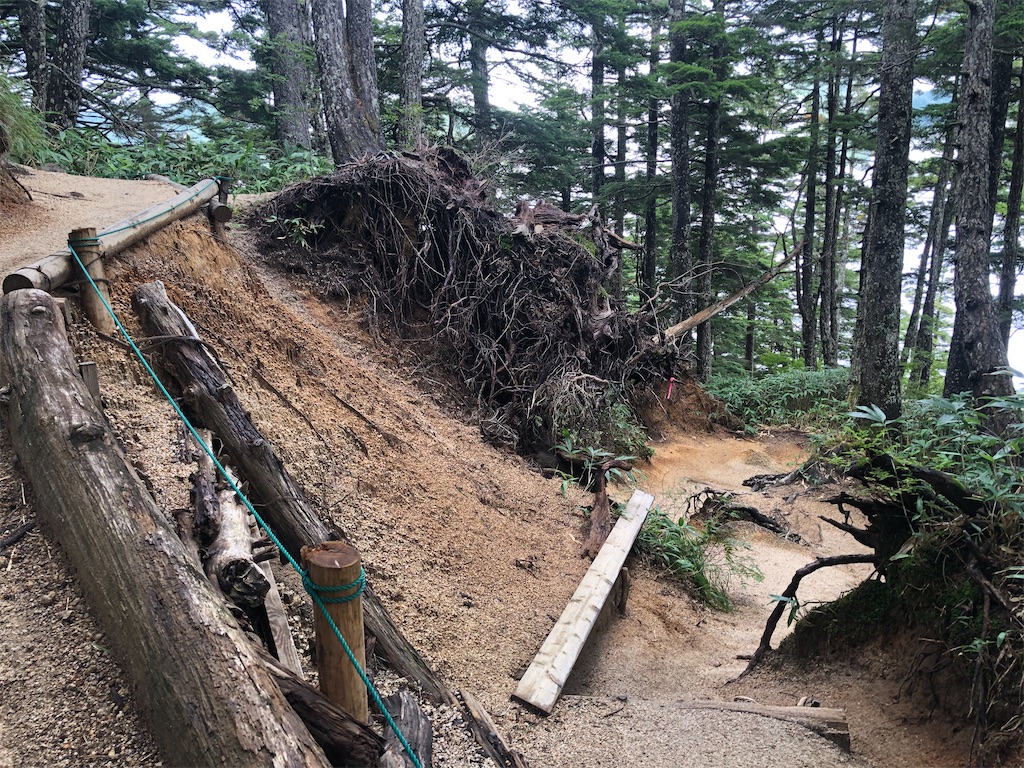 f:id:naka350z:20200929010131j:image