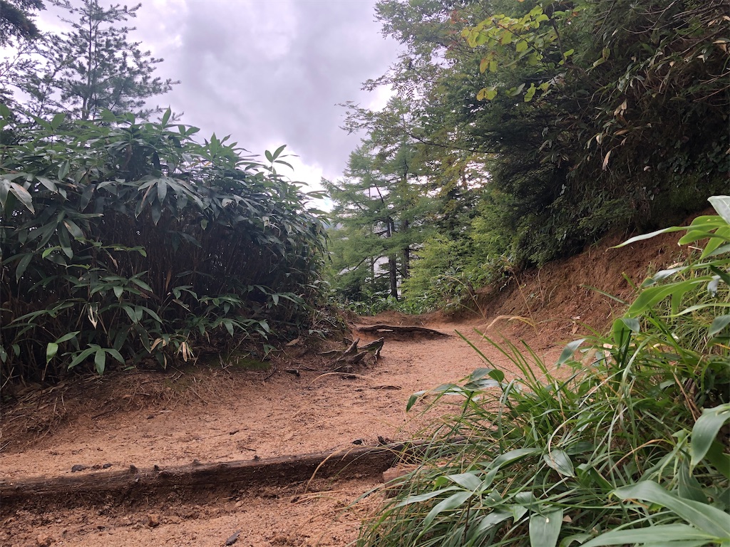 f:id:naka350z:20200929010134j:image