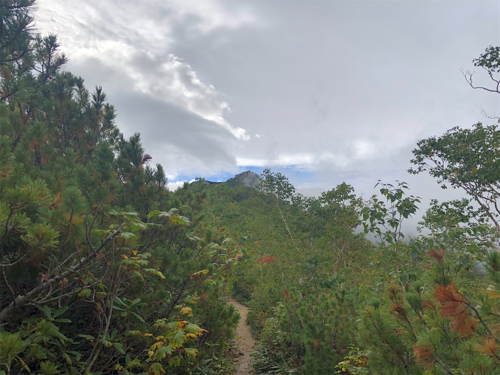 f:id:naka350z:20200929010140j:image