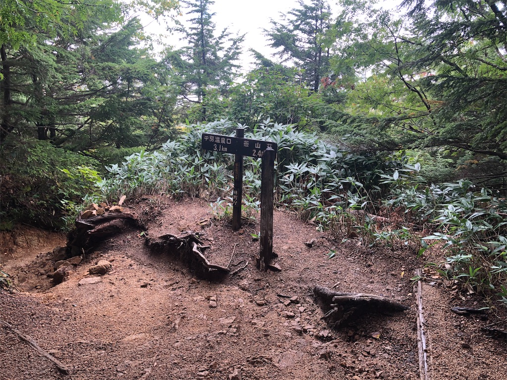 f:id:naka350z:20200929010158j:image