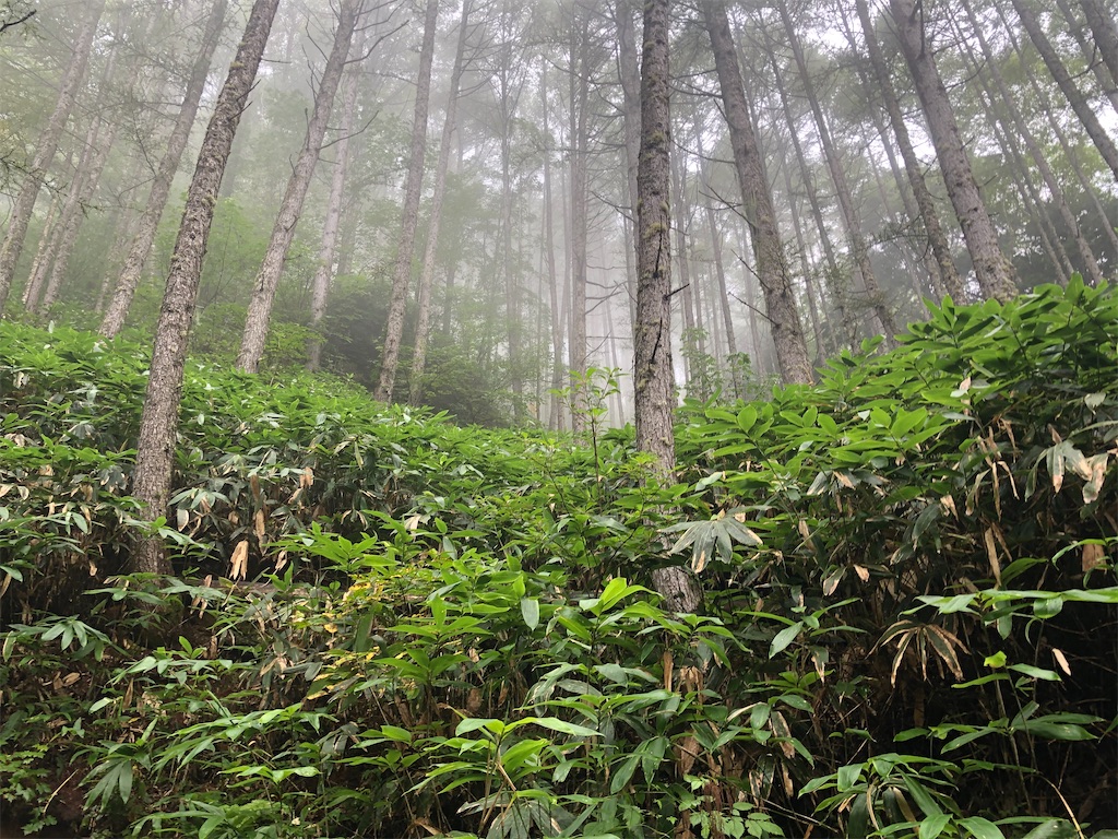 f:id:naka350z:20200929010201j:image