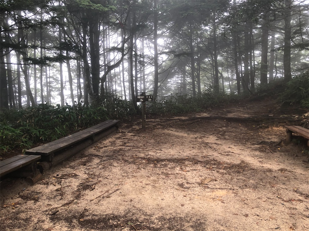 f:id:naka350z:20200929010239j:image