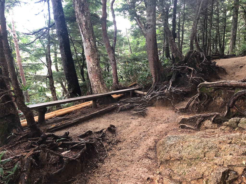 f:id:naka350z:20200929010243j:image