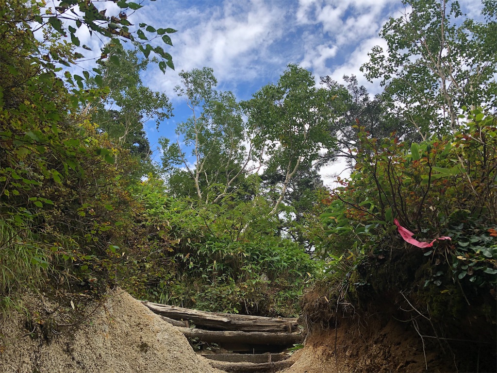 f:id:naka350z:20200929010248j:image