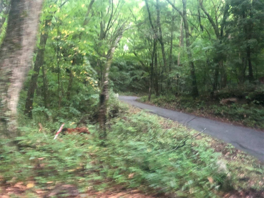 f:id:naka350z:20200929010323j:image