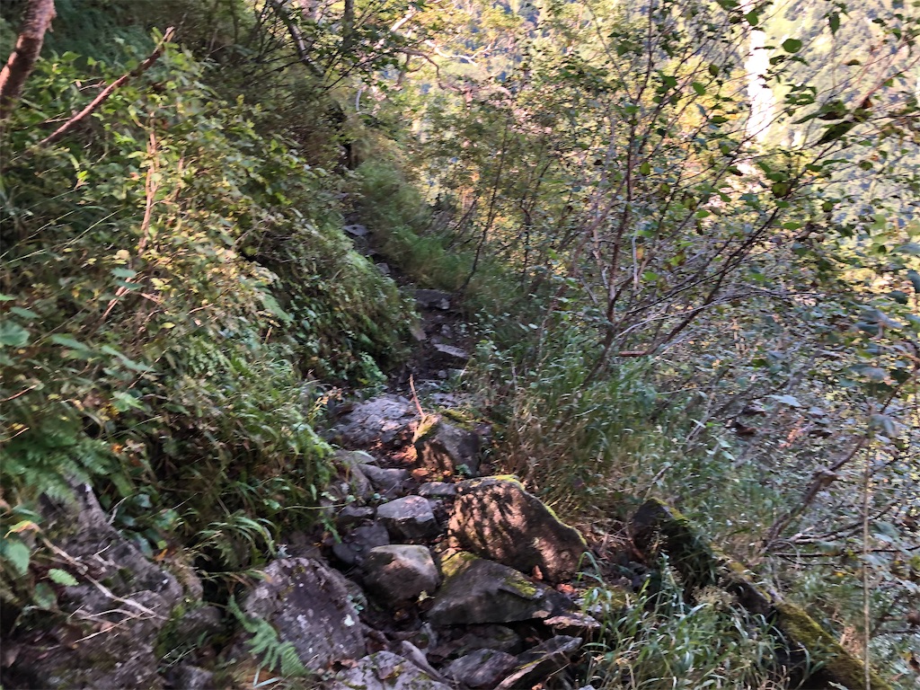 f:id:naka350z:20201012011109j:image