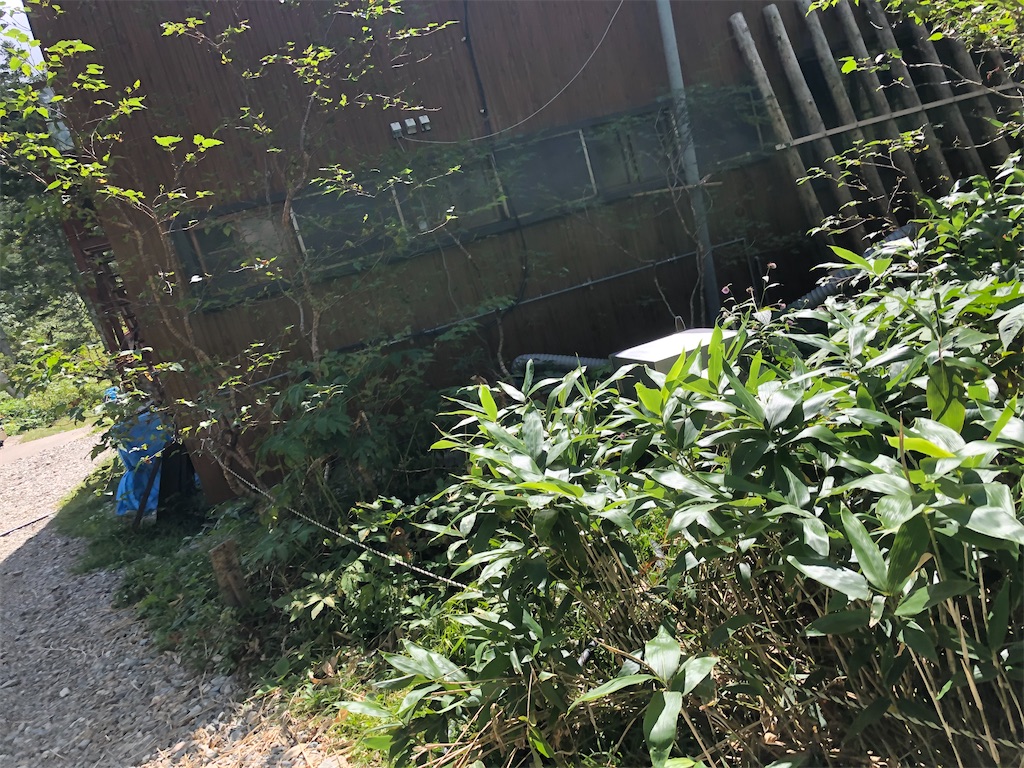 f:id:naka350z:20201012011420j:image