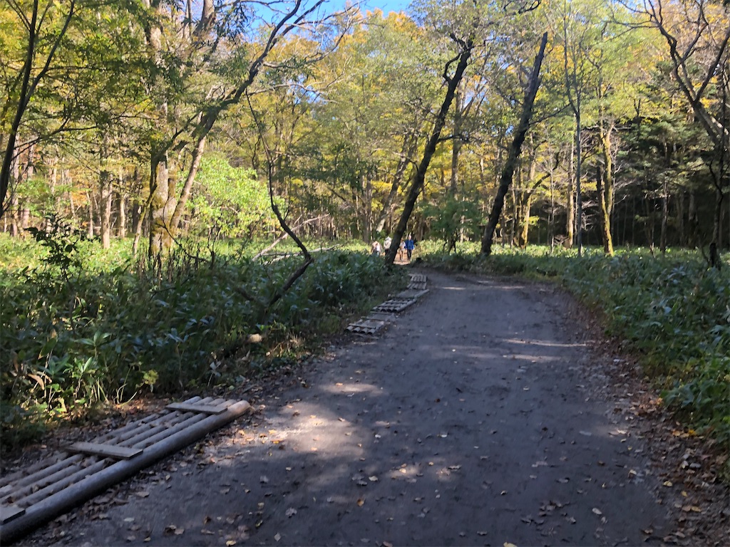 f:id:naka350z:20201031014246j:image