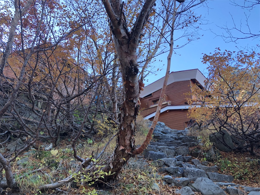 f:id:naka350z:20201031014317j:image