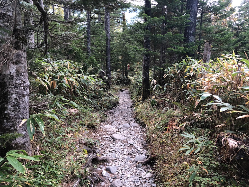 f:id:naka350z:20201031014505j:image