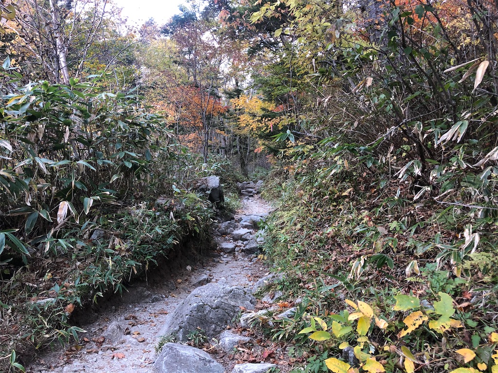 f:id:naka350z:20201031014524j:image