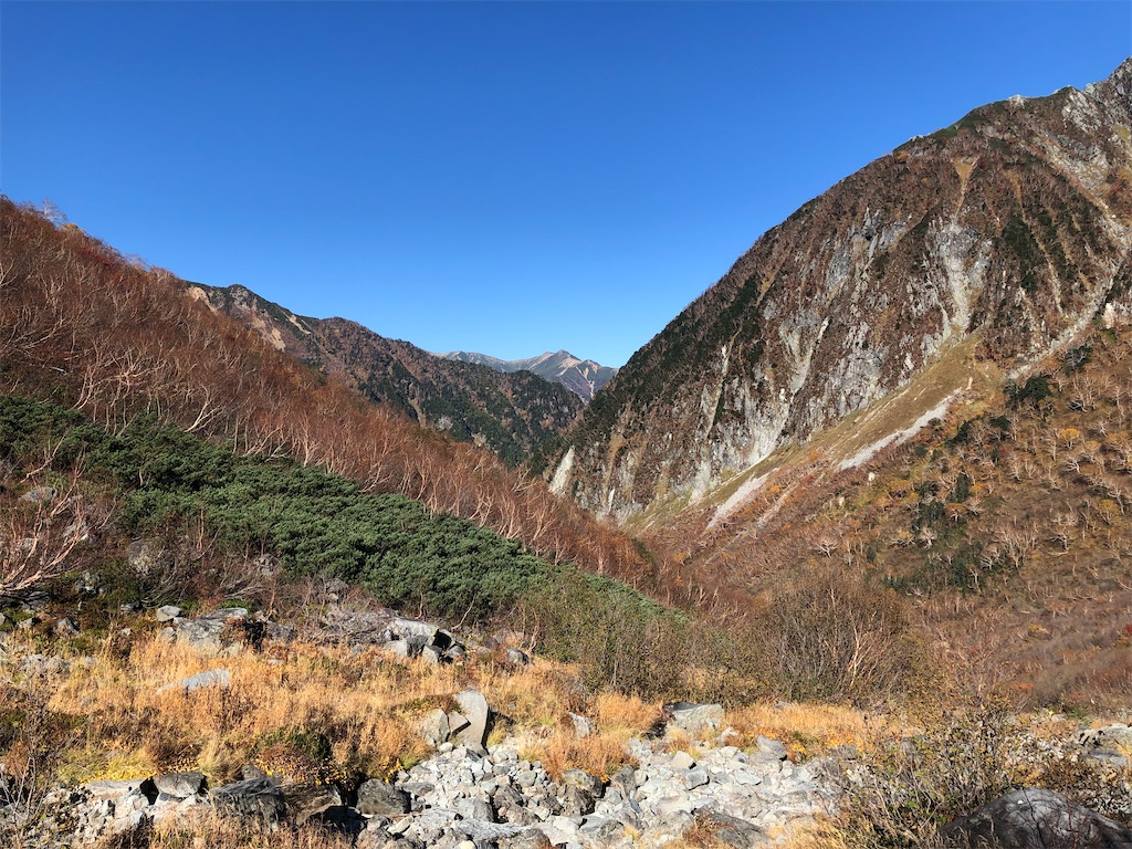 f:id:naka350z:20201031014528j:image