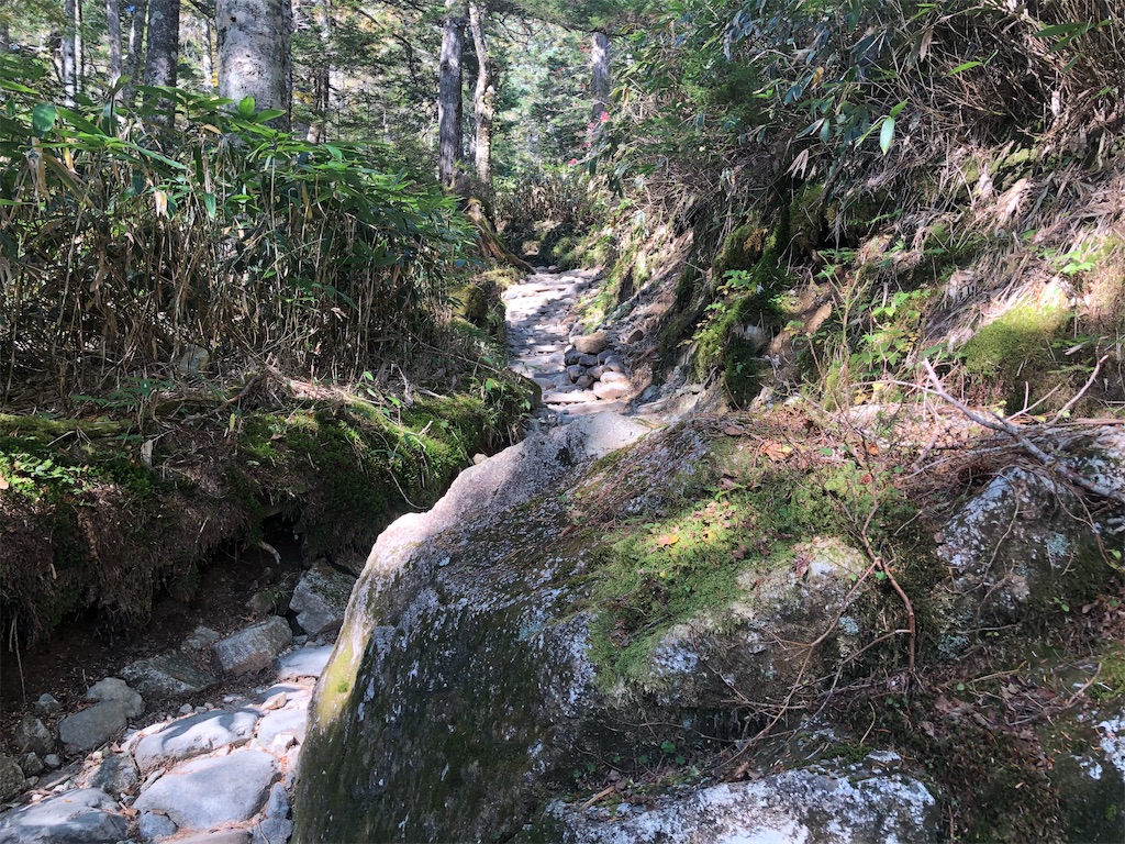 f:id:naka350z:20201031014600j:image