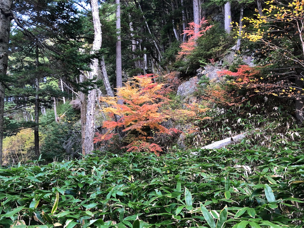 f:id:naka350z:20201031014707j:image