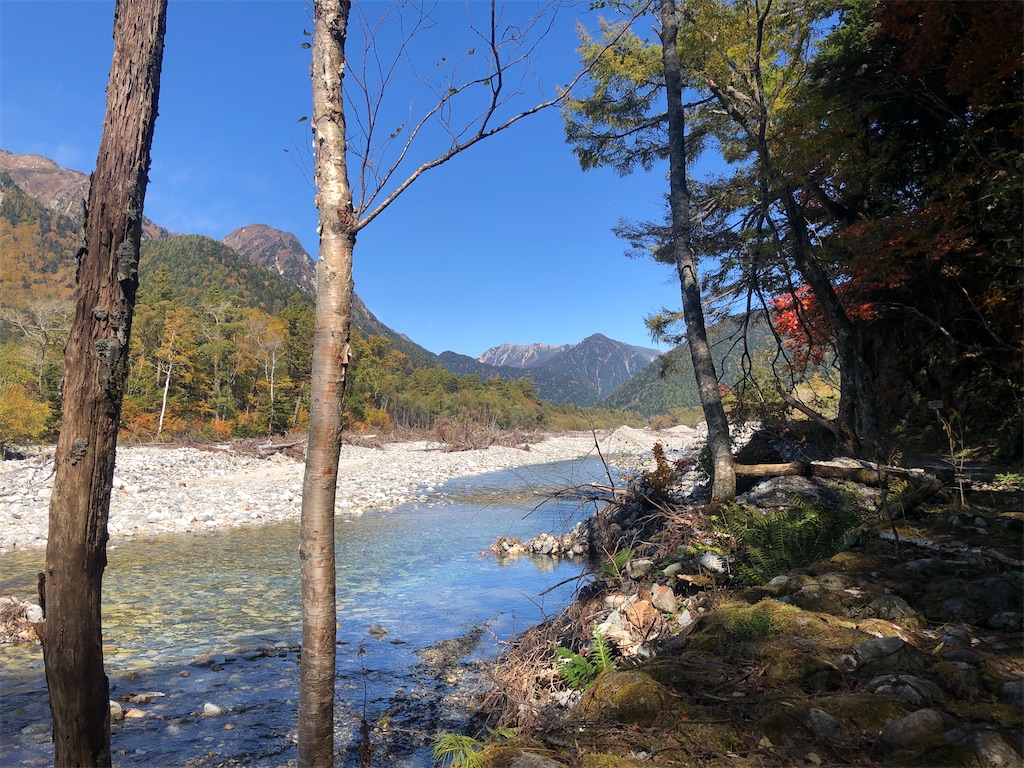 f:id:naka350z:20201031014722j:image