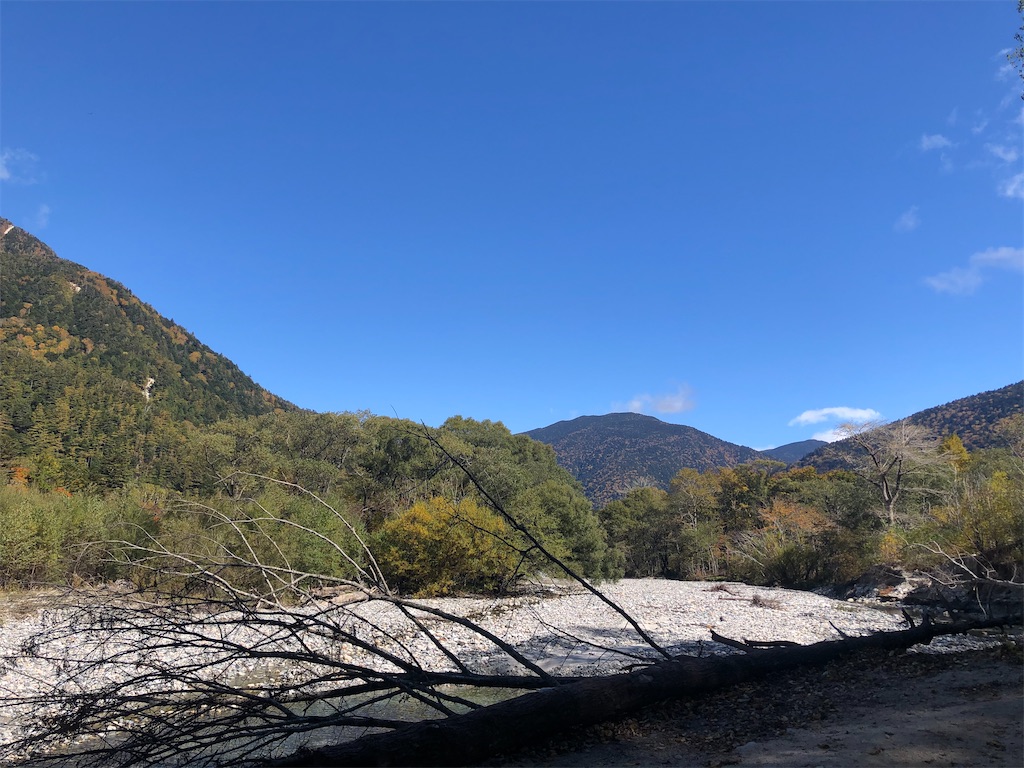 f:id:naka350z:20201031014752j:image