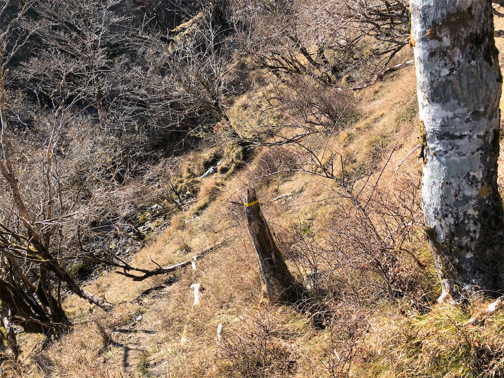 f:id:naka350z:20201119014053j:image