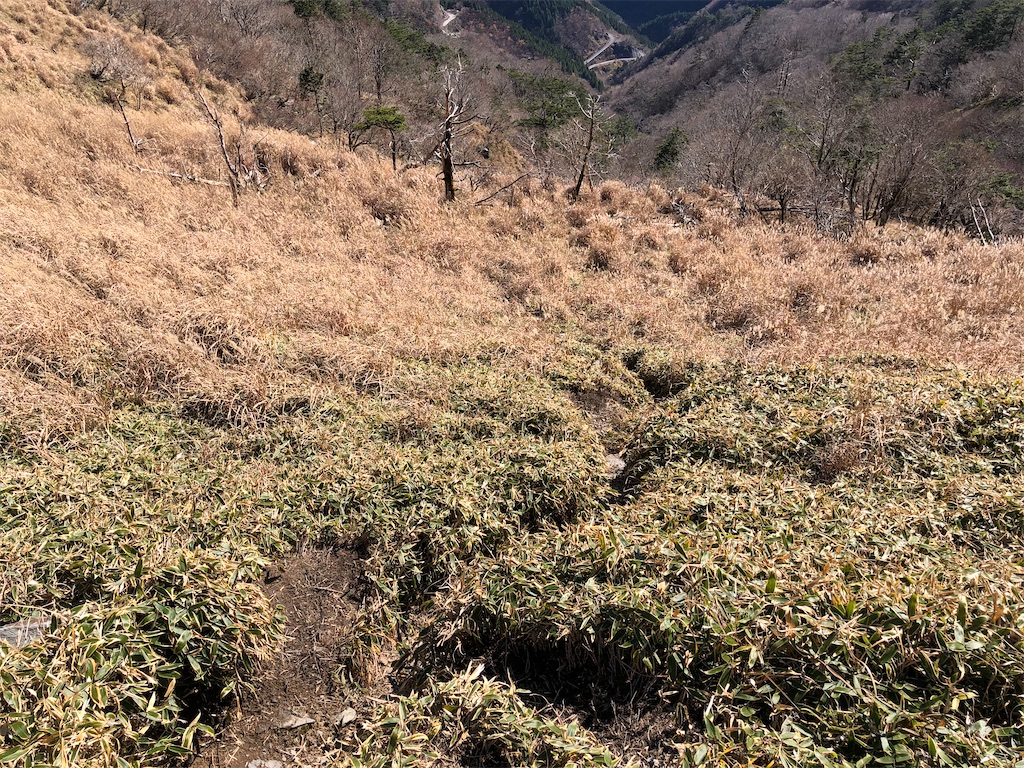 f:id:naka350z:20201119014100j:image