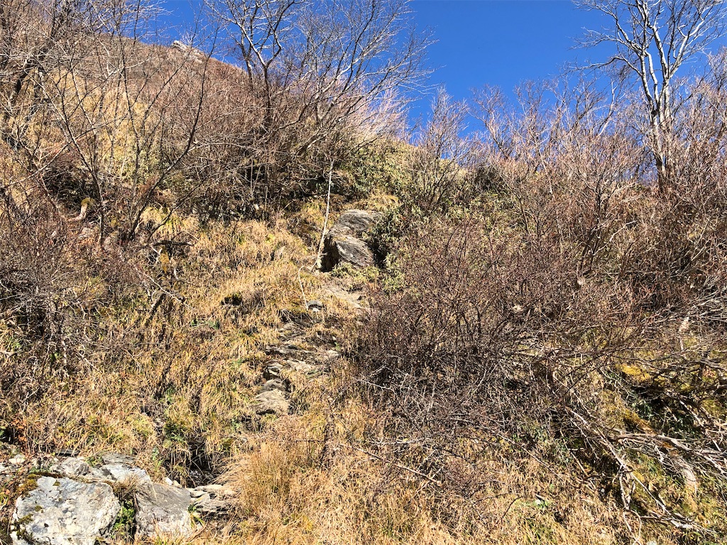 f:id:naka350z:20201119014114j:image