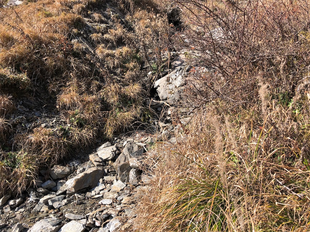 f:id:naka350z:20201119014145j:image