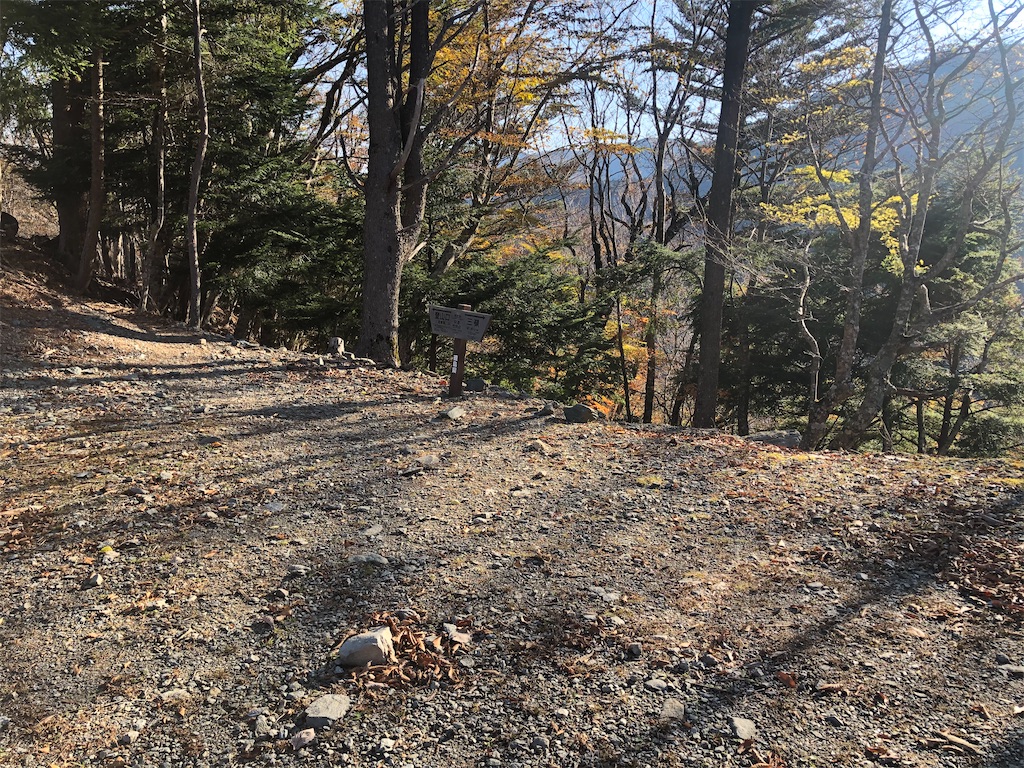 f:id:naka350z:20201119014148j:image