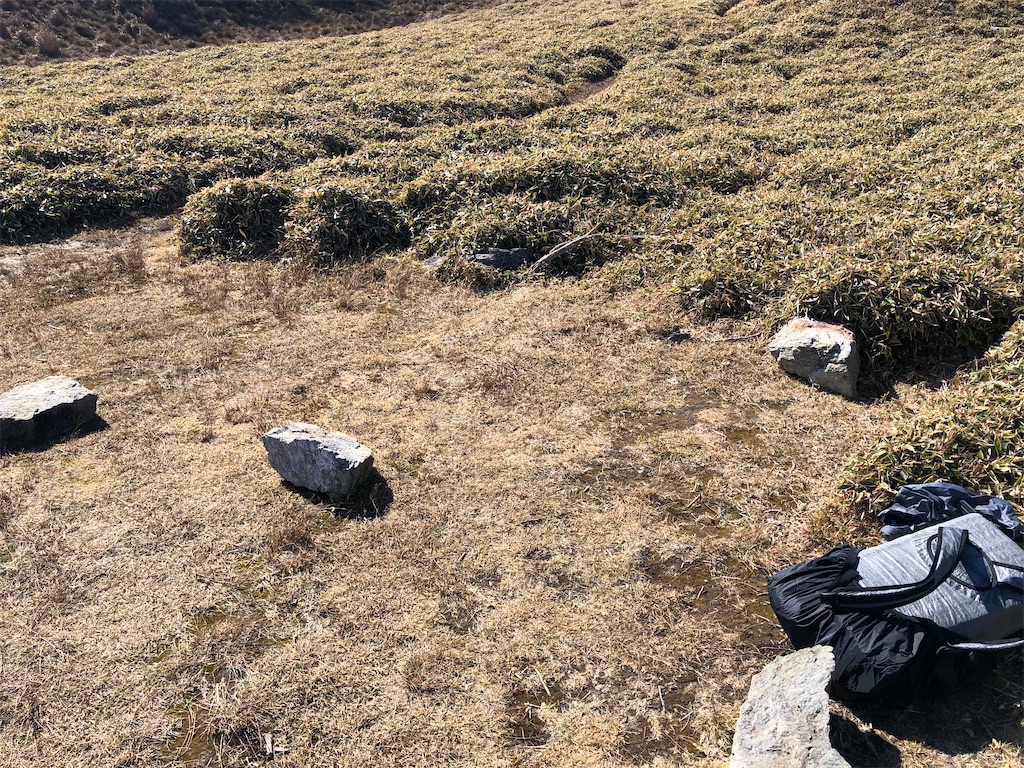 f:id:naka350z:20201119014200j:image